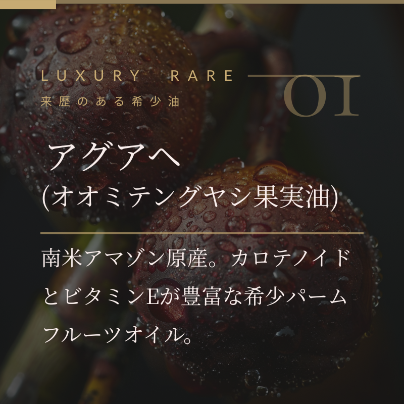 アグアヘ（オオミテングヤシ果実油）南米アマゾン原産の希少パームフルーツオイル