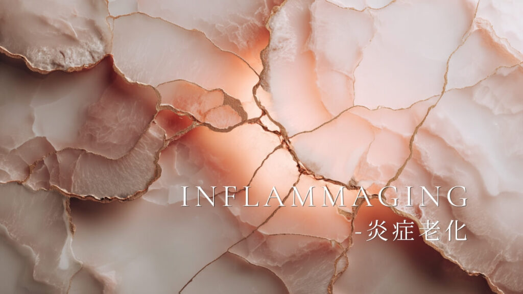 炎症老化についてのテキスト入り画像