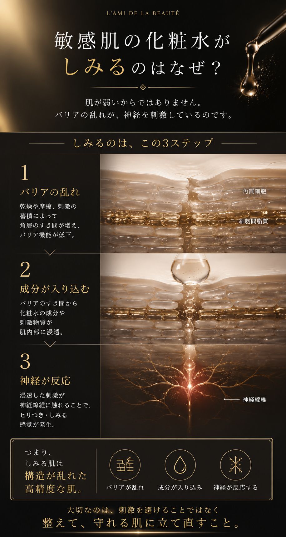 敏感肌の化粧水がしみる原因を示す肌バリアと神経反応の図解