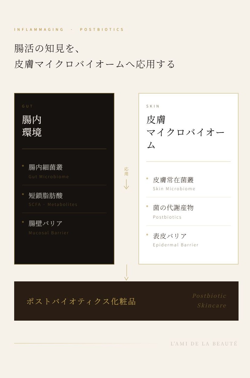 炎症老化 腸内環境の知見を応用したポストバイオティクス化粧品の図解
