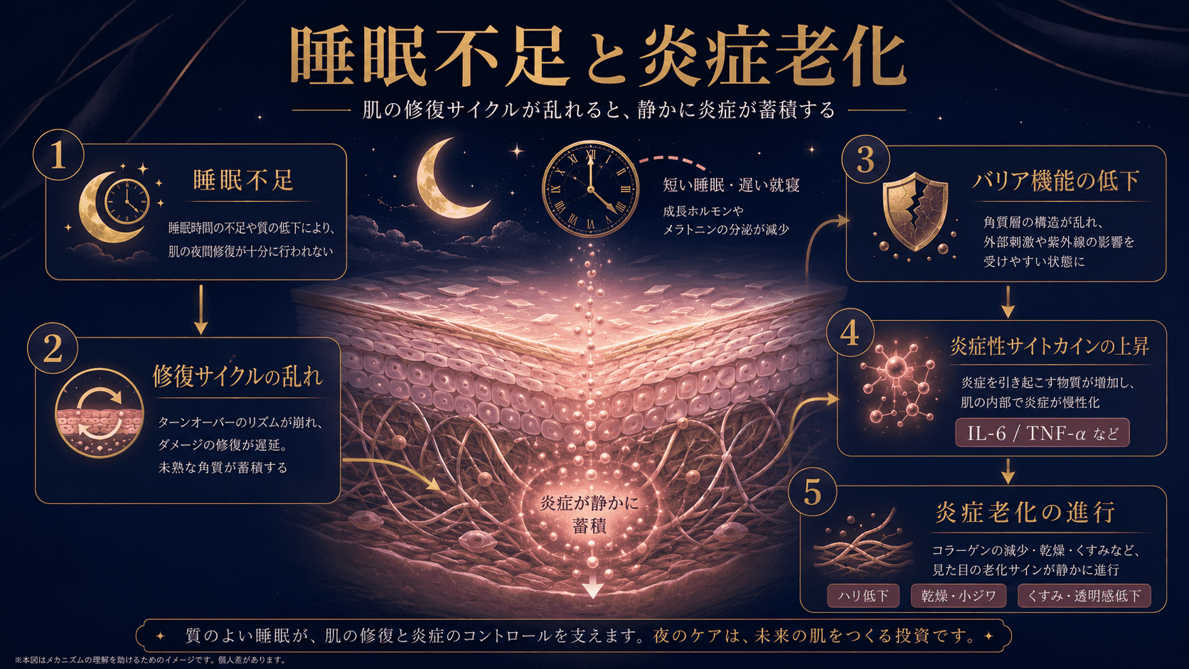 睡眠不足が肌の修復サイクルを乱し、炎症性サイトカインの上昇を通じて炎症老化を進める仕組みを示した高級感のある図解