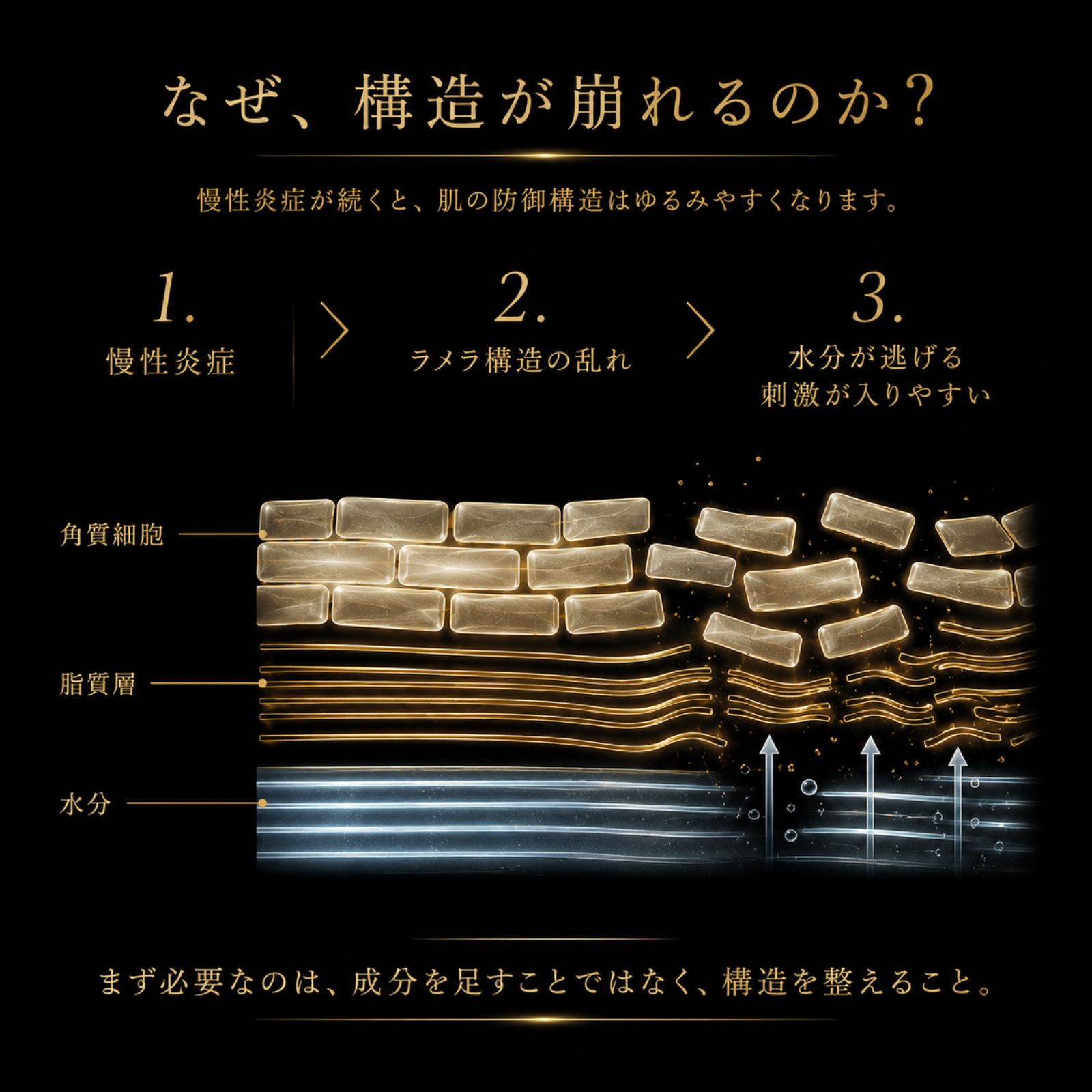 慢性炎症によりラメラ構造が乱れ、水分が逃げやすく刺激が入りやすくなる仕組みを示した図解